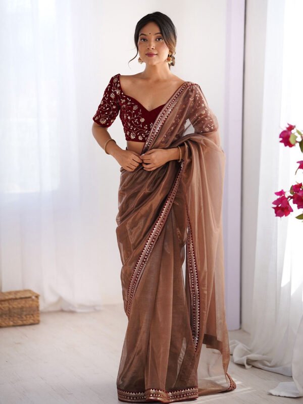 Brown net saree with embroidered lace border draped with embroidered velvet blouse, front view