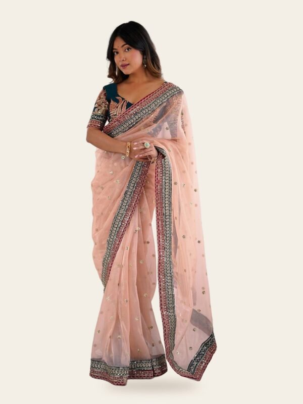 Isha Peach Embroidered Net Saree with Contrast Blouse - full look on ivory background